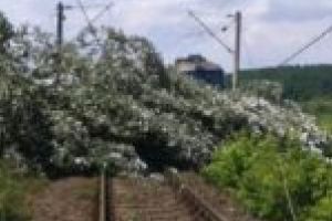 Sute de călători, prizonieri în trenuri pe liniile din Caraş-Severin!