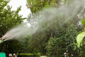 BUTIMANU: Crescătorii de albine, avertizaţi! Se fac stropiri contra insectelor de disconfort