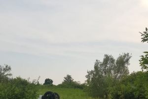 Șofer începător, rănit după ce s-a răsturnat cu maşina, lângă Făget