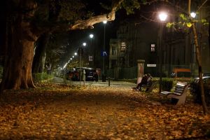 Iluminat modern în Parcul Central „Simion Bărnuţiu”