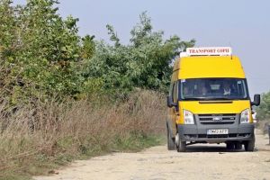 Timişul a solicitat 60 de microbuze şcolare noi pentru elevii din Timişoara şi judeţ