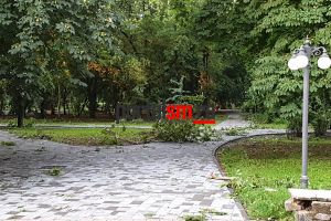 FOTO. Primăria anunţă închiderea Grădinii Romei. Parcul, afectat serios de furtună