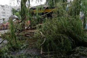 VIDEO: Bilanţul furtunii de joi, din judeţul Mureş