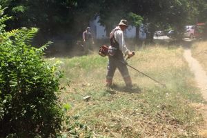 Continua actiunile de igienizare a spatiilor verzi in municipiul Constanta 