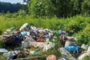 Mici într-o mare de mizerie! Locurile de picnic din zona Lugoj, pline cu gunoaie şi boscheţi