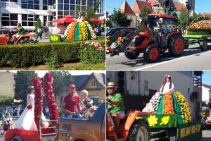 FOTO/ VIDEO/ ASTĂZI: ”Ziua Rozelor” 2019, la Aiud şi Ciumbrud – Paradă cu trăsuri şi biciclete decorate cu trandafiri, dansuri, concert No Sugar şi Amna, focuri de artificii. PROGRAMUL complet