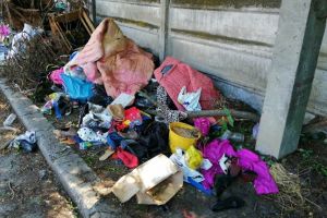 Poliţia Locală, amenzi de 9.000 de euro pentru gunoaie şi terenuri necosite