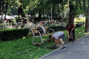 Tinerii ce au vandalizat parcul din Micro 15, puşi să repare pagubele
