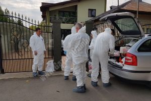 Lunguleţu: Porcii din gospodăria afectată de pestă africană vor fi ucişi. Se instituie două zone de restricţie!
