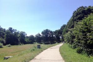 FOTO Linişte şi pace în parcul Sub Arini înspre Zoo – Sibienii nu au văzut niciun urs