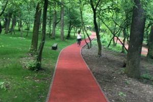 Anunţ important despre pista de alergare de la Platoul Corneşti