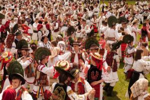 Direcţia pentru Cultură Mureş angajează