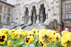 Universitatea „Dunărea de Jos” a primit calificativul „grad ridicat de încredere”