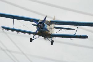 Începe dezinsecţia aeriană împotriva ţânţarilor, la Satu Mare
