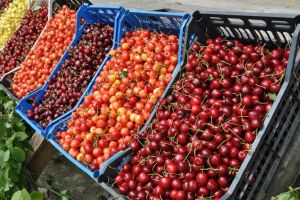 Satul cu cei mai mulţi cultivatori de cireşe, în sărbătoare. Festivalul început în urmă cu 126 de ani, la o nouă ediţie