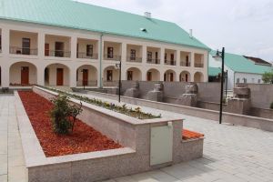 Cum vrea Complexul Muzeal Bistriţa-Năsăud să se apere de vizitatorii înaripaţi