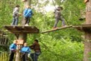 Adrenalină în mijlocul pădurii! Unicul parc de aventură din judeţul Timiş a fost redeschis pentru turişti