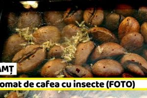 NEAMȚ: Automat de cafea cu insecte la un market din Piatra-Neamţ (FOTO)