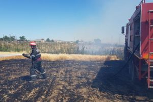 Judetul Tulcea: Pompierii au intervenit la Baia la un incendiu care a cuprins aproape 20 de hectare (galerie foto)