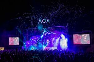 Peste opt mii de oameni în prima seară a festivalului Arad Open Air 