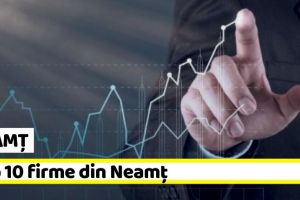 NEAMȚ: Topul celor mai puternice companii din judeţul Neamţ