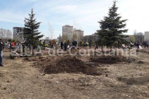 Constanta Restart: Copacii au nevoie de oameni. Sa ajutam arborii sufocati de vremea caniculara!