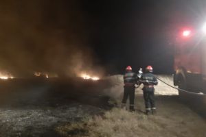 Incendiu puternic in judetul Tulcea. Pentru ce au intervenit pompierii. Unde se propaga focul