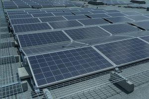 Complexul Egros se dezvolta si face primii paşi pentru a deveni un centru comercial Verde.