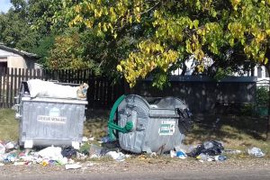 De pe 1 iulie, gunoiul se colectează selectiv. Primarul Flutur: Până la sfârşitul lunii iulie va fi stabilit un preţ diferenţiat