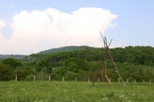 Veniţi să strângeţi fân, la Timişoara, şi să faceţi căpiţe!