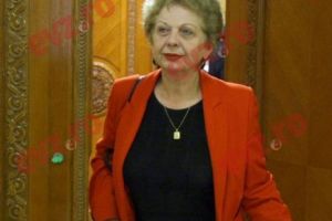 Dosarul otrăvirii cu mercur a trecut la o nouă etapă. Audierea Doinei Pană ar putea schimba datele problemei