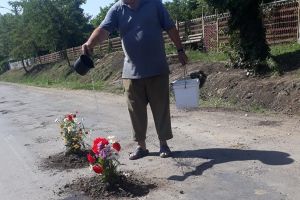 FOTO Haz de necaz! Flori plantate în gropile din asfalt pe un drum din Botoşani. „Faceţi contract cu domnii de la CJ să vină să le ude”