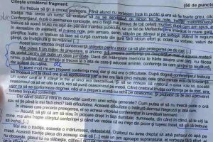 FOTO/VIDEO: Subiecte Bacalaureat 2019 la limba română. Arghezi sau Barbu la UMAN şi Bacovia şi Blaga la REAL