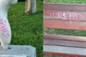 1.000 de lei recompensă pentru identificarea unui „pictor” din Reşiţa