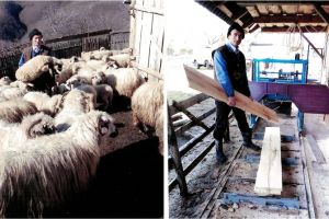 FOTO: Gheorghe Vlad, din Loman, un cioban de nota zece