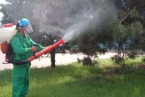 Vineri are loc dezinsecţia pe raza Municipiului Sfântu Gheorghe