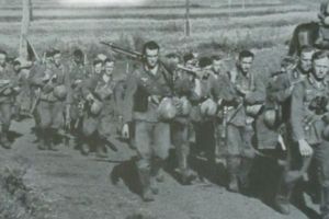 Drama unei divizii româneşti distrusă de superficialitate