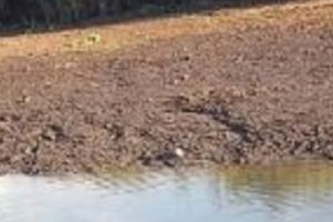 Dispărut la Băiculeşti, căutat în CANAL!