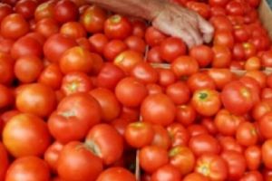 27 de fermieri argeşeni vând în pieţe roşii româneşti subvenţionate de Guvern