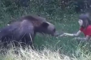 Scene halucinante în Argeş! Un bărbat şi-a încurajat copilul să stea în preajma unui urs