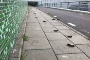 Mister şi groază: se sinucid aruncându-se de pe un pod