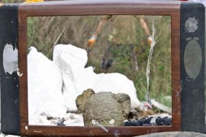 Aveţi un televizor sau frigider vechi? Le puteţi duce la Staţia de Reciclare. Caravana a ajuns în Timiş