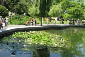 Curăţenie generală în Expo Parc