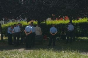 Poliţia Locală a făcut recensământul aurolacilor