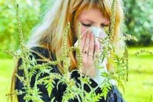 Planta care provoacă dezastru. Medicii trag semnalul de alarmă. Românii sunt în alertă