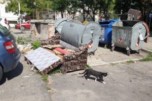 În Trivale, colectarea selectivă e încă în faza de… contemplare
