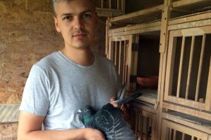 Campionatul porumbeilor voiajori: Nemeti Nandor câştigă etapa de viteză - demifond Sokolina