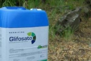 Austria interzice glifosatul trecând peste UE 