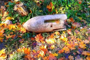 Focoase, proiectile şi muniţie, descoperite în localitatea Vinerea