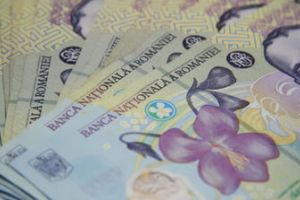 Cati bani au primit partidele de la stat luna trecuta: PSD e campion detasat, cu peste 16 milioane de lei